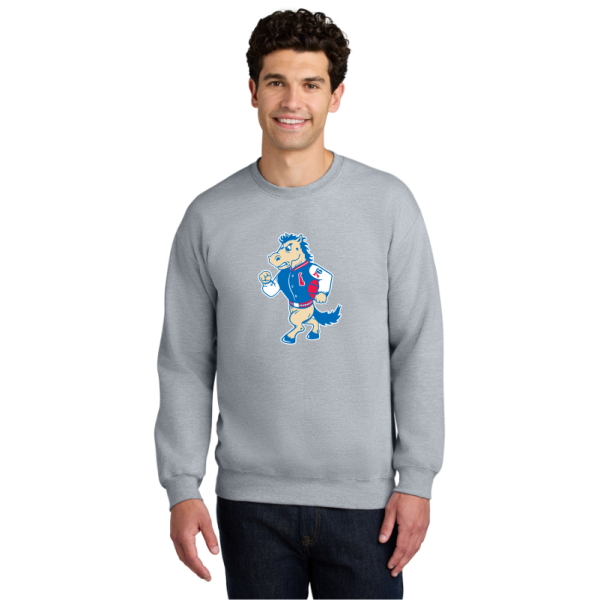 Gildan® Softstyle® Crewneck Sweatshirt - Coaty