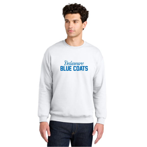 Gildan® Softstyle® Crewneck Sweatshirt - Team Name
