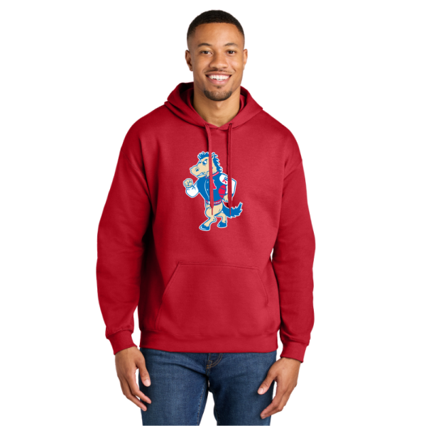 Gildan® Softstyle® Midweight Pullover Hooded Sweatshirt - Coaty